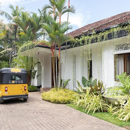 Lotus Surf And Wellness Lejlighed Ahangama Eksteriør billede